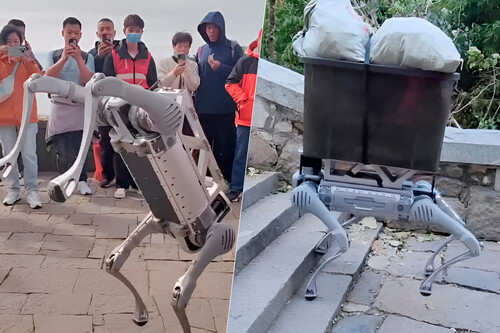 El famoso Monte Tai de China se ha llenado de robots: mantienen limpio el lugar y hacen piruetas para los turistas