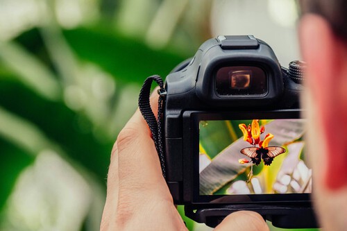 La IA está sacudiendo el negocio de los bancos de imágenes. Getty Images y Shutterstock han decidido fusionarse para resistir