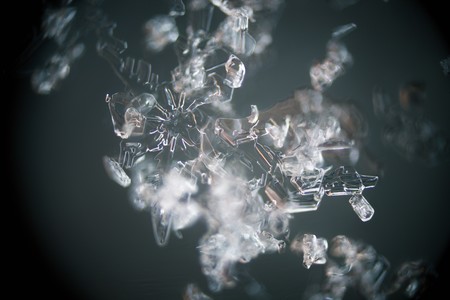 La halicina se convierte el primer antibiótico contra las superbacterias que se ha encontrado gracias a la inteligencia artificial