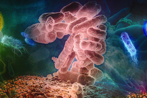 No sabíamos por qué algunas superbacterias eran resistentes a los antibióticos. Esta IA lo ha averigado en dos días